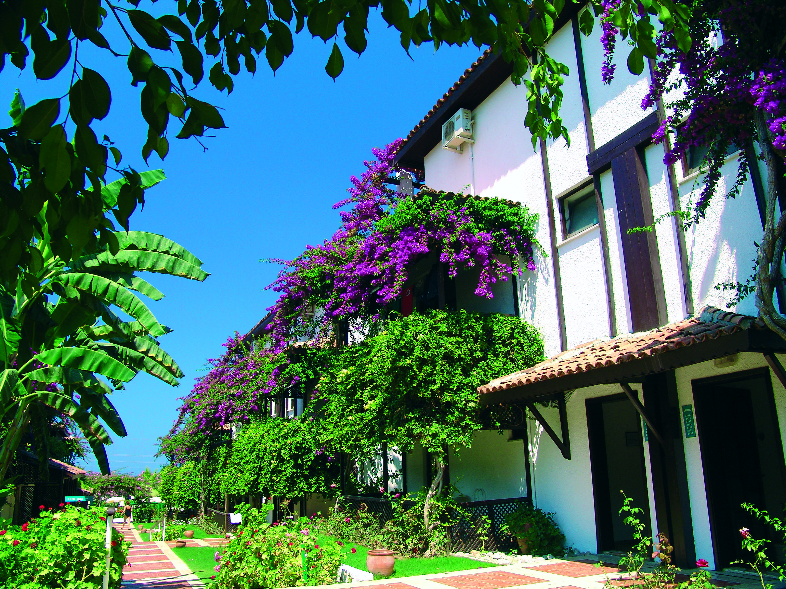 Titan Club Hotel Ultra All Inclusive Kargıcak Eksteriør bilde