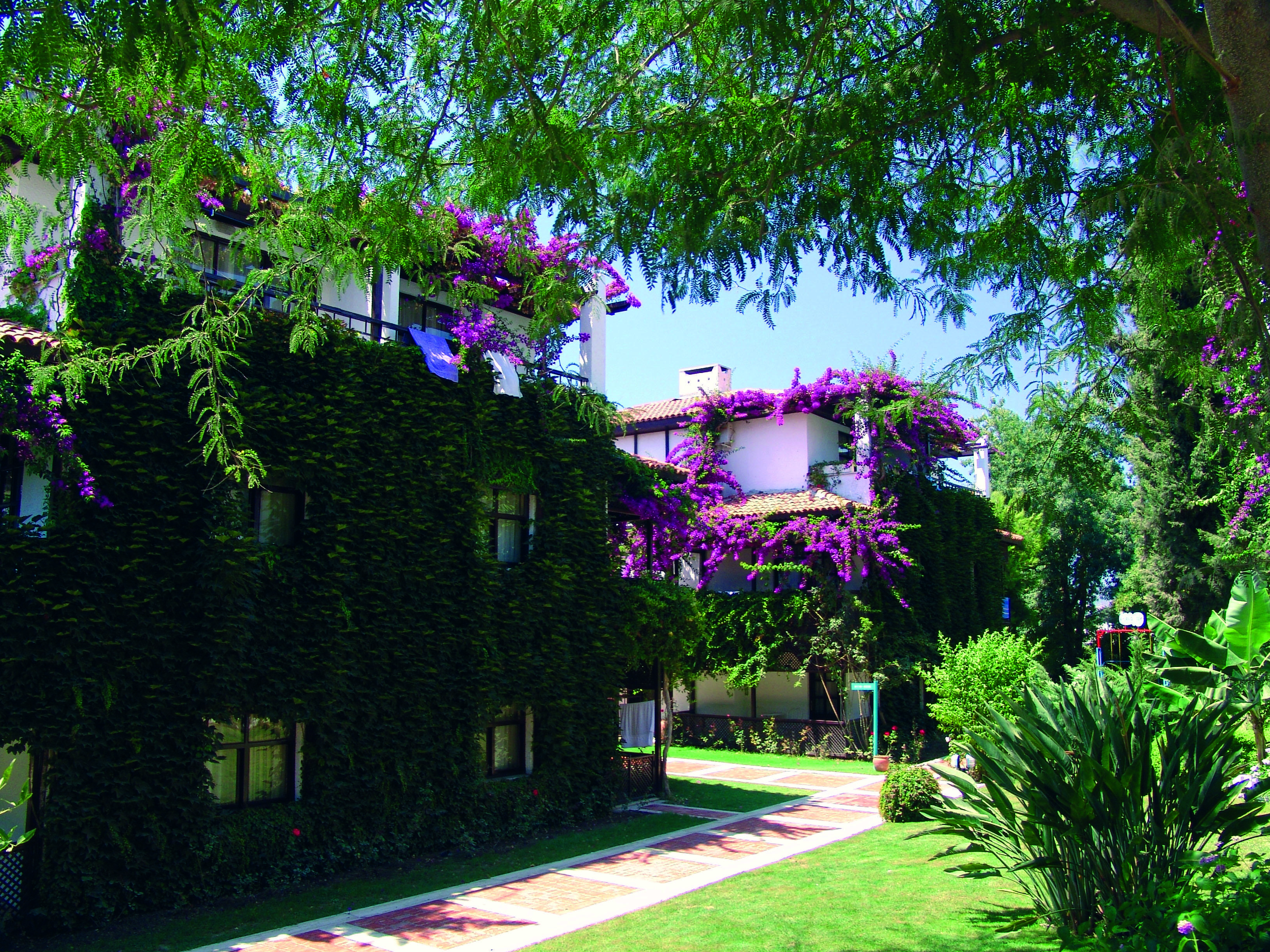 Titan Club Hotel Ultra All Inclusive Kargıcak Eksteriør bilde